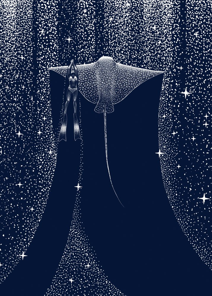 Starlit Ray -kumppani tekijältä Alirıza ÇAKIR