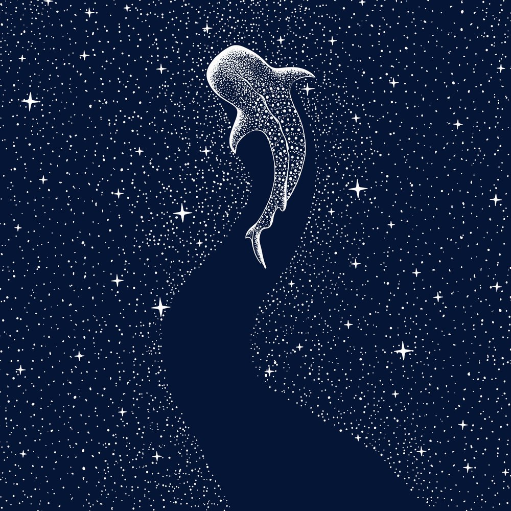 Tähtikuvioinen valashai tekijältä Alirıza ÇAKIR