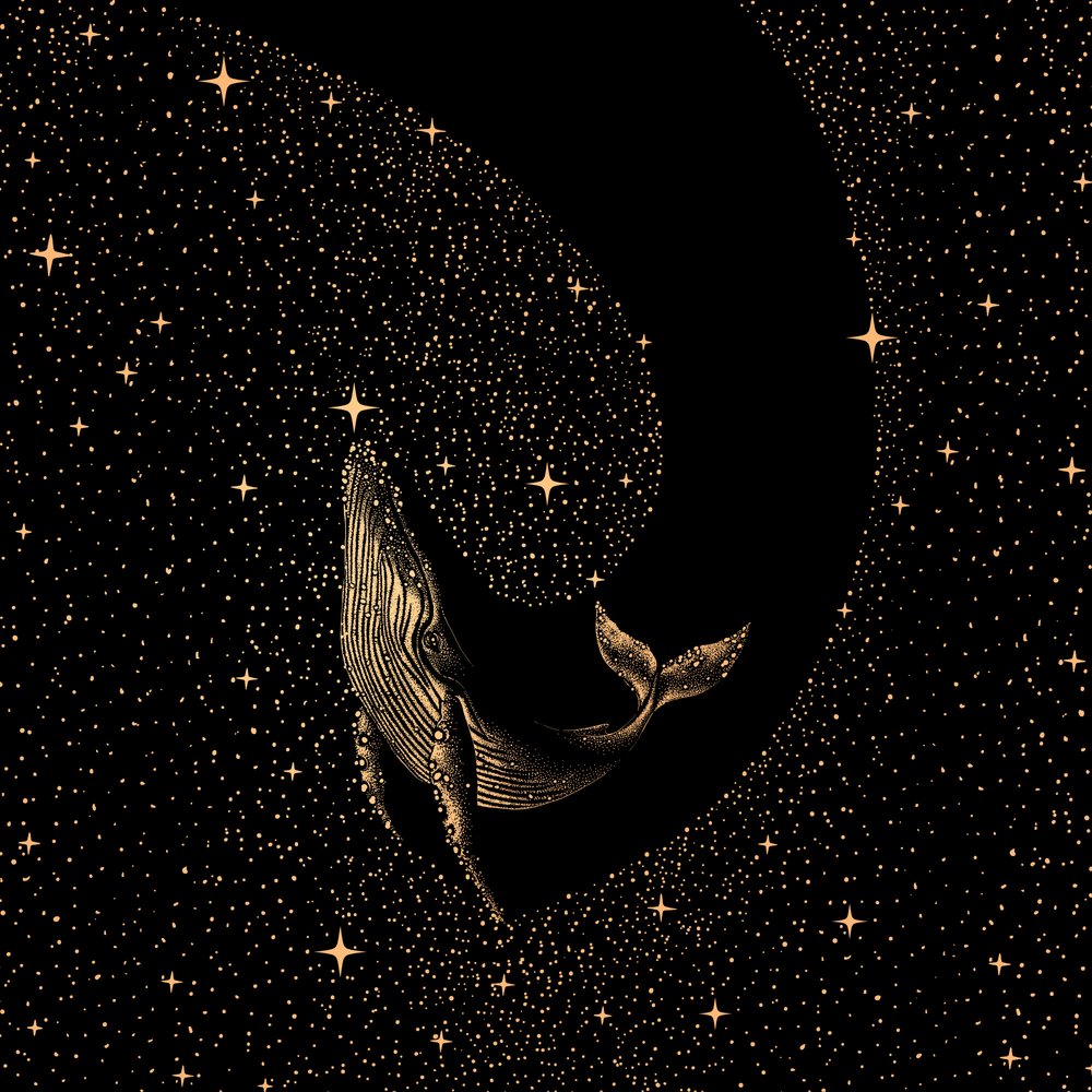 Valas tähtien keskellä tekijältä Alirıza ÇAKIR