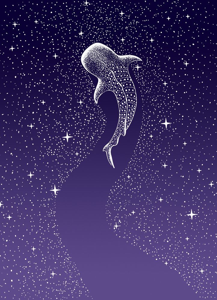 Uinti valashaiden keskellä tekijältä Alirıza ÇAKIR