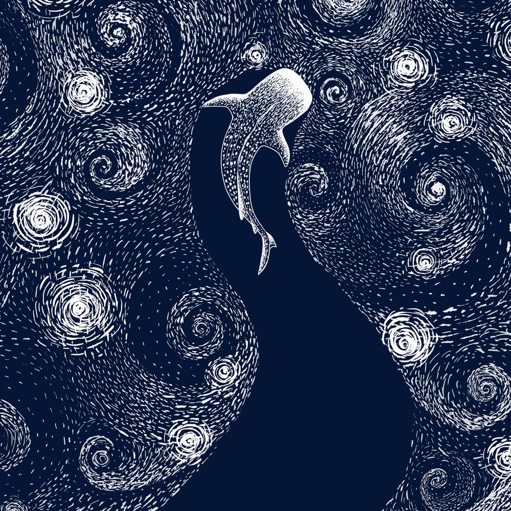 Valashai ja tähtimeri tekijältä Alirıza ÇAKIR