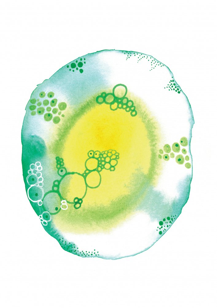 Orgaaniset nestekuplat tekijältä Amy Louise Baker