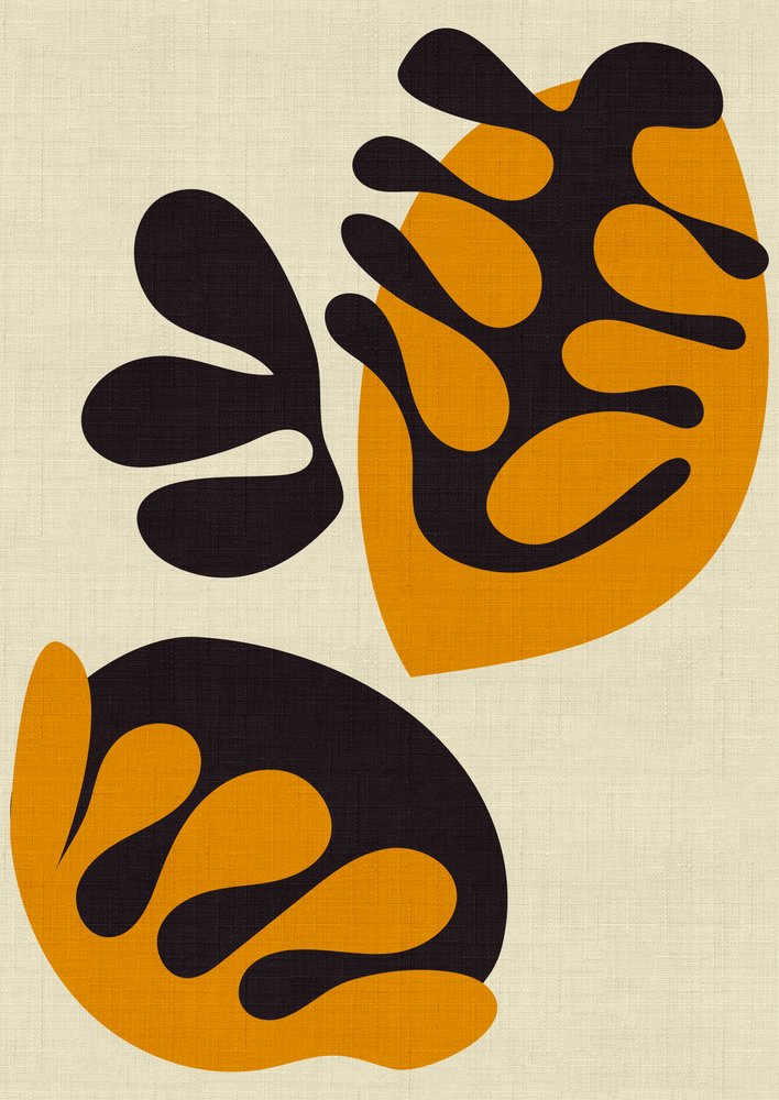 Matissen leikkauskuvat tekijältä Ana Rut Bre