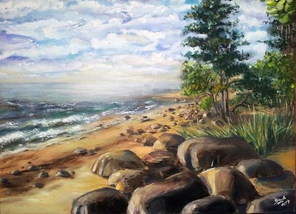 Rocky Beachin rauhallisuus tekijältä Anda Bieza