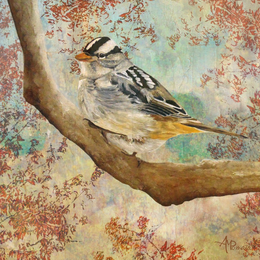  tekijältä Angeles M. Pomata