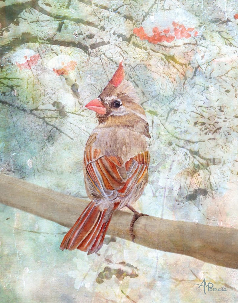  tekijältä Angeles M. Pomata