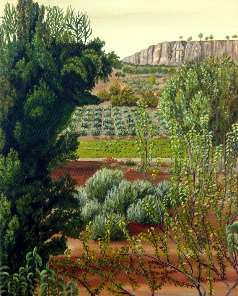  tekijältä Angeles M. Pomata
