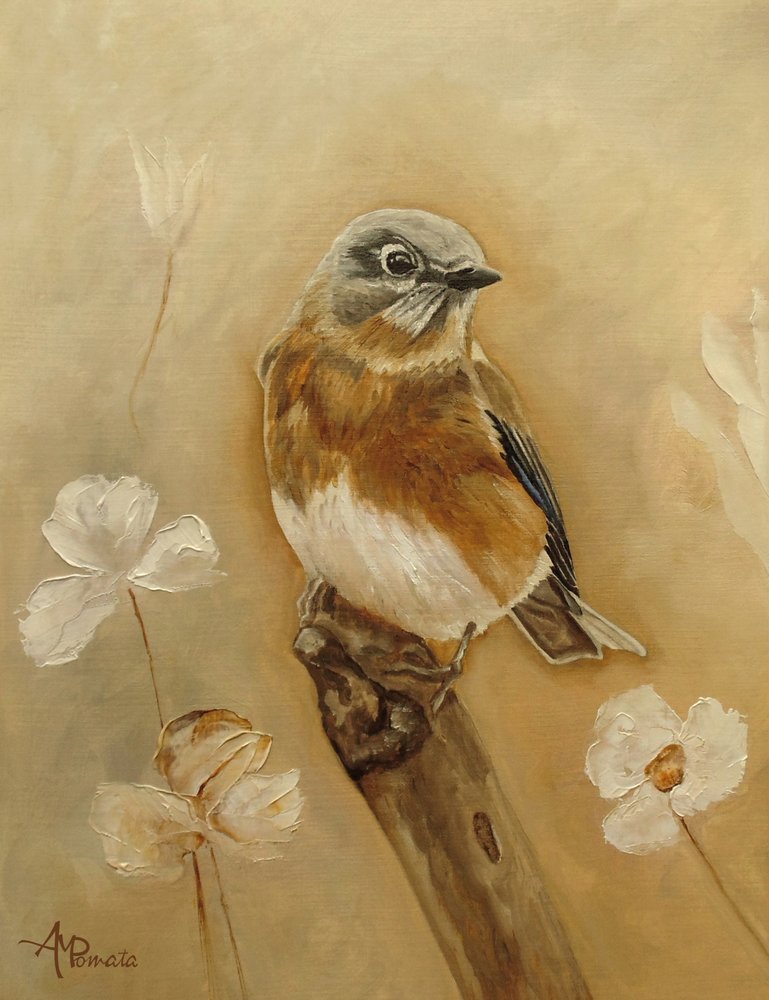  tekijältä Angeles M. Pomata