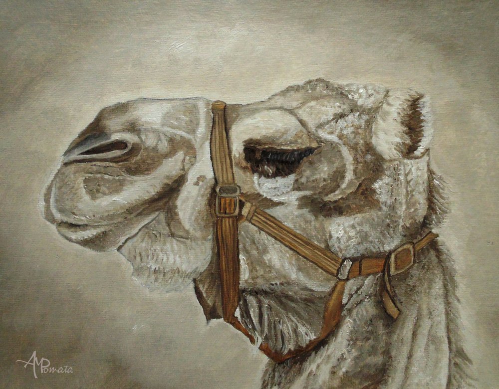  tekijältä Angeles M. Pomata