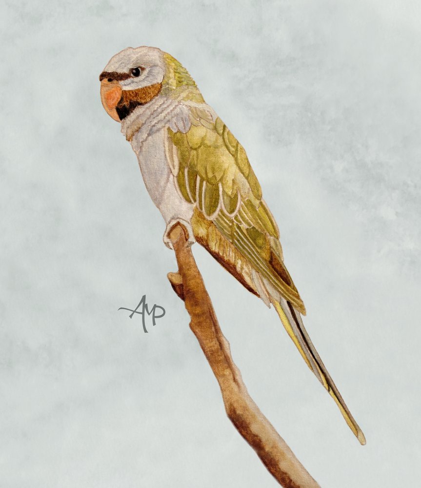  tekijältä Angeles M. Pomata