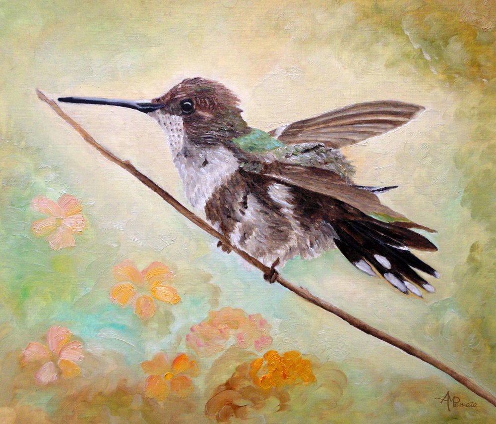  tekijältä Angeles M. Pomata