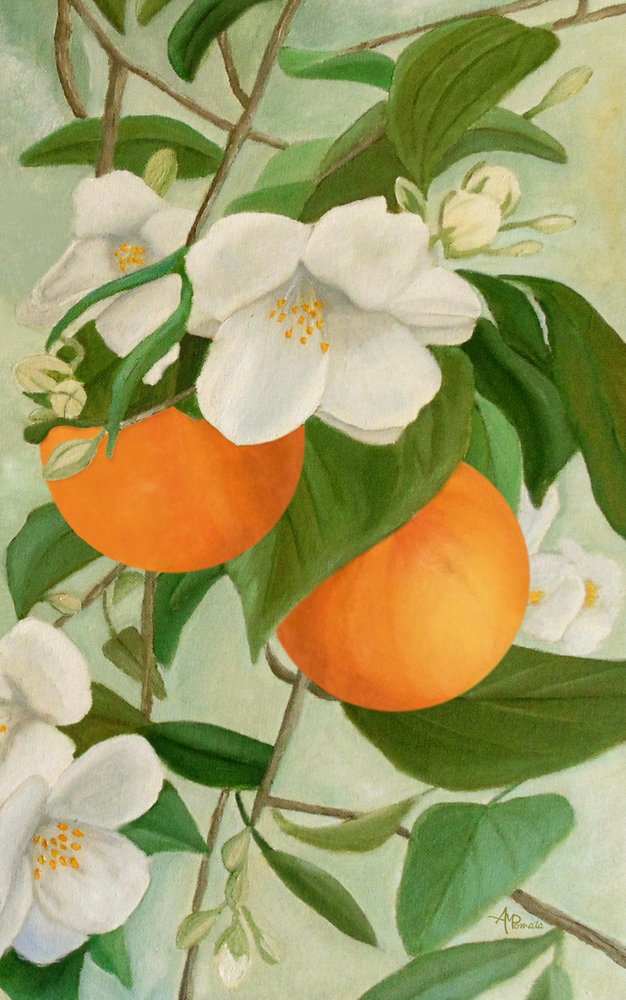  tekijältä Angeles M. Pomata