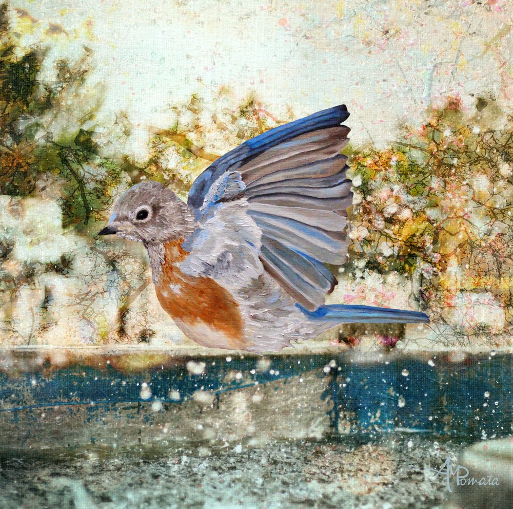  tekijältä Angeles M. Pomata