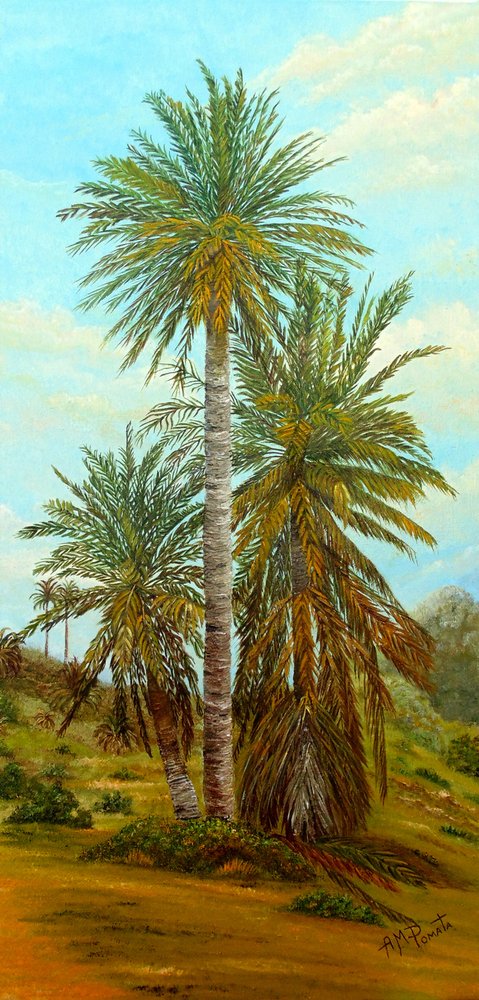  tekijältä Angeles M. Pomata