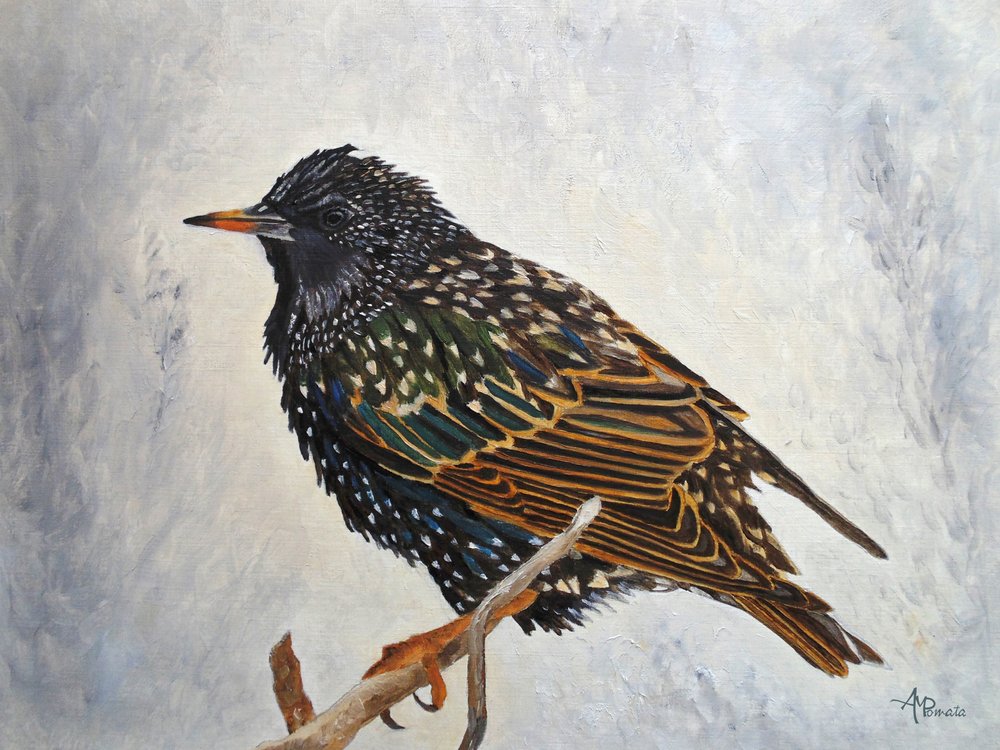  tekijältä Angeles M. Pomata