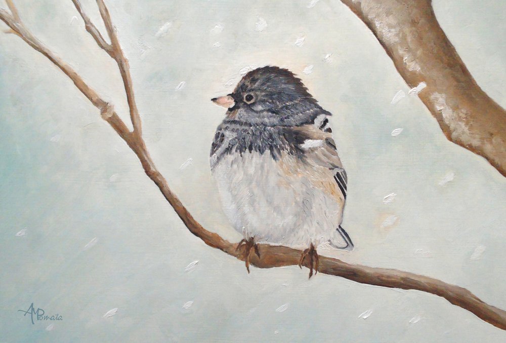  tekijältä Angeles M. Pomata
