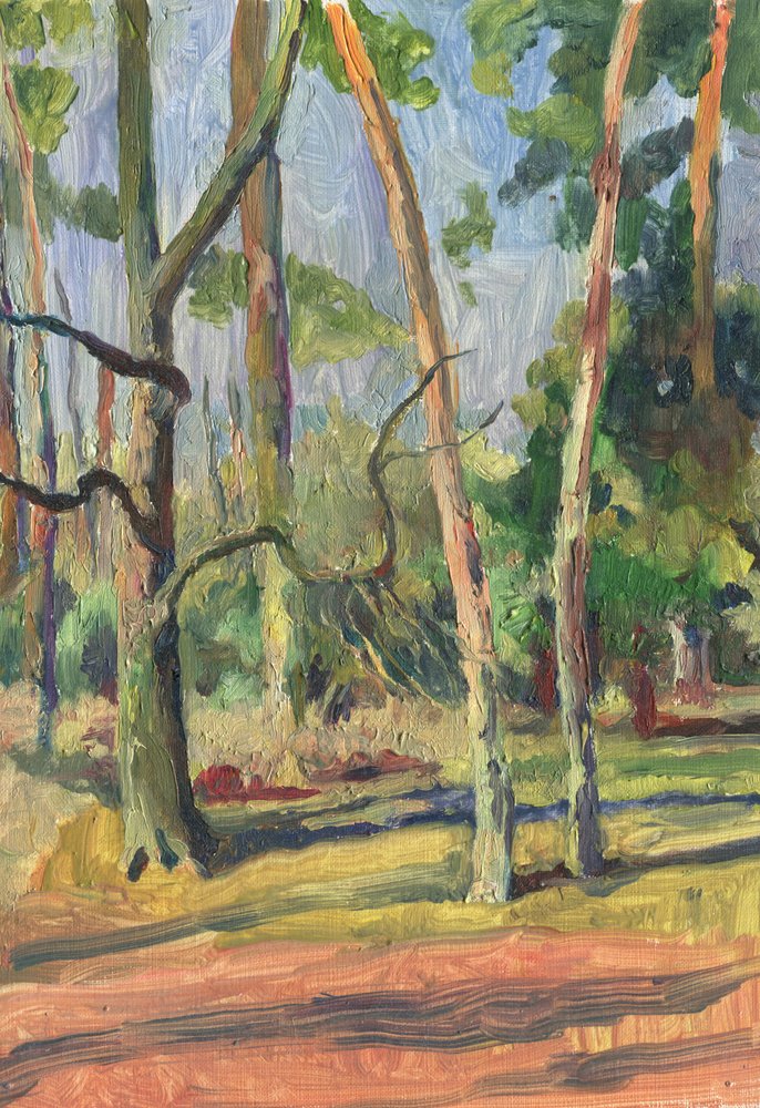 Auringonvalossa kylpevä metsäpolku tekijältä Catalina Somolinos