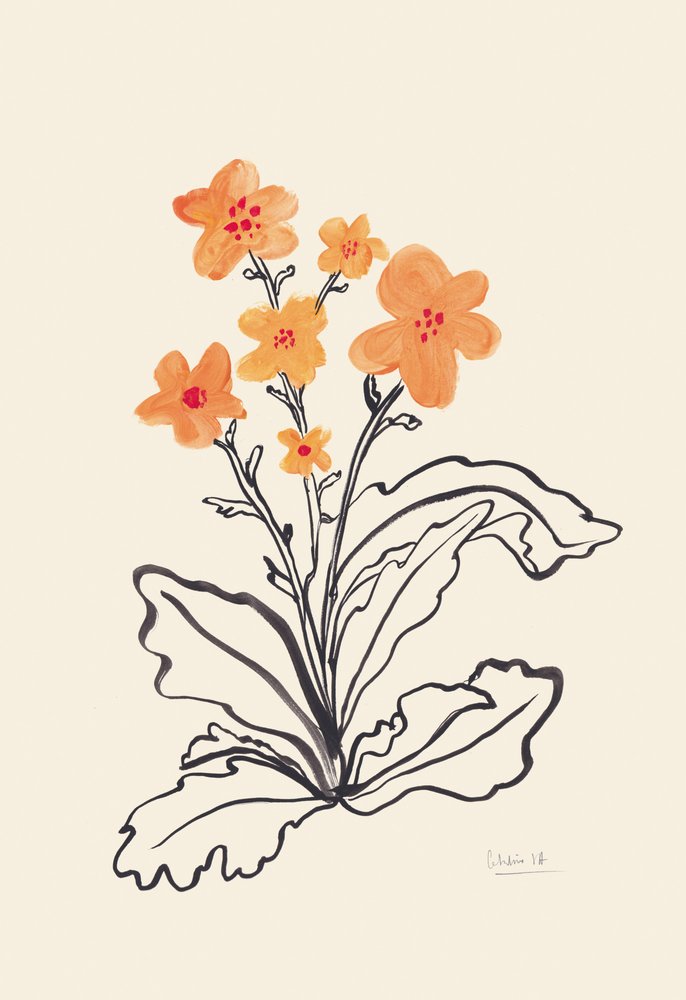 Kirkkaan oranssit kukat tekijältä Catalina Somolinos