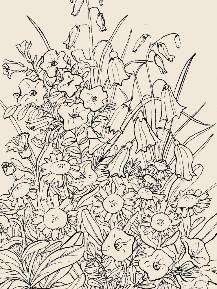 Luonnonvaraiset puutarhakukat tekijältä Catalina Somolinos