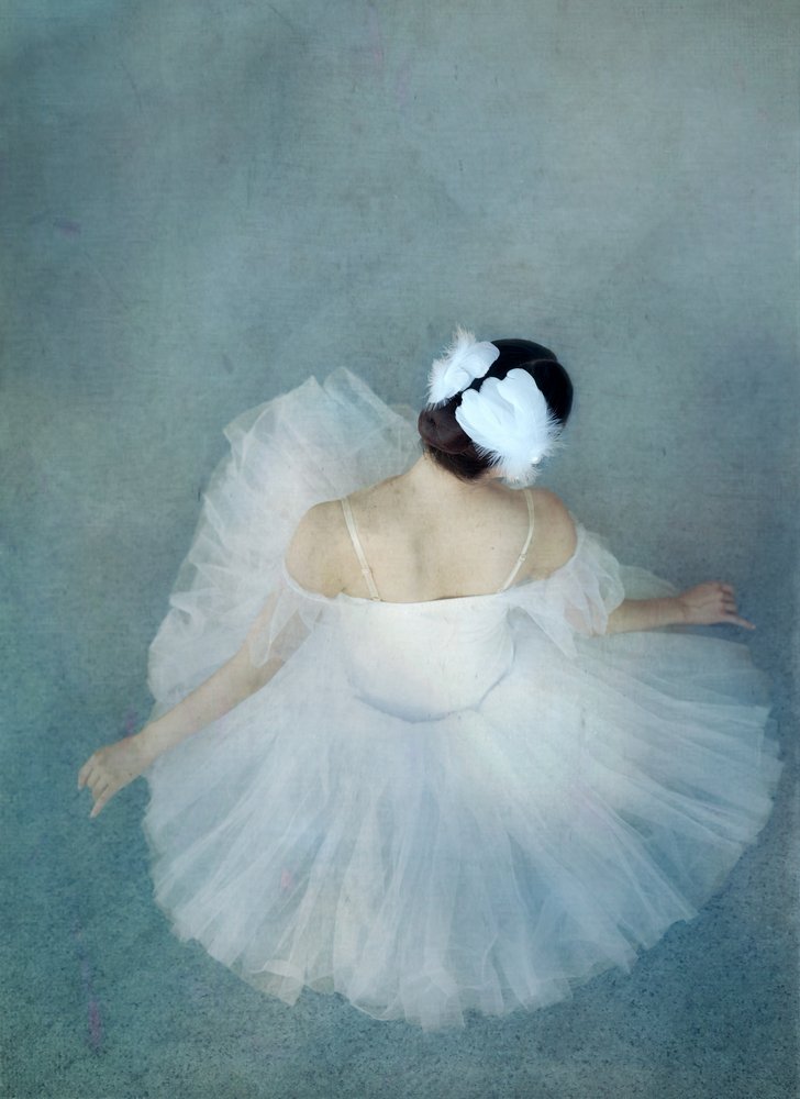 Elegantti Ballerina Swan tekijältä Catherine Wang