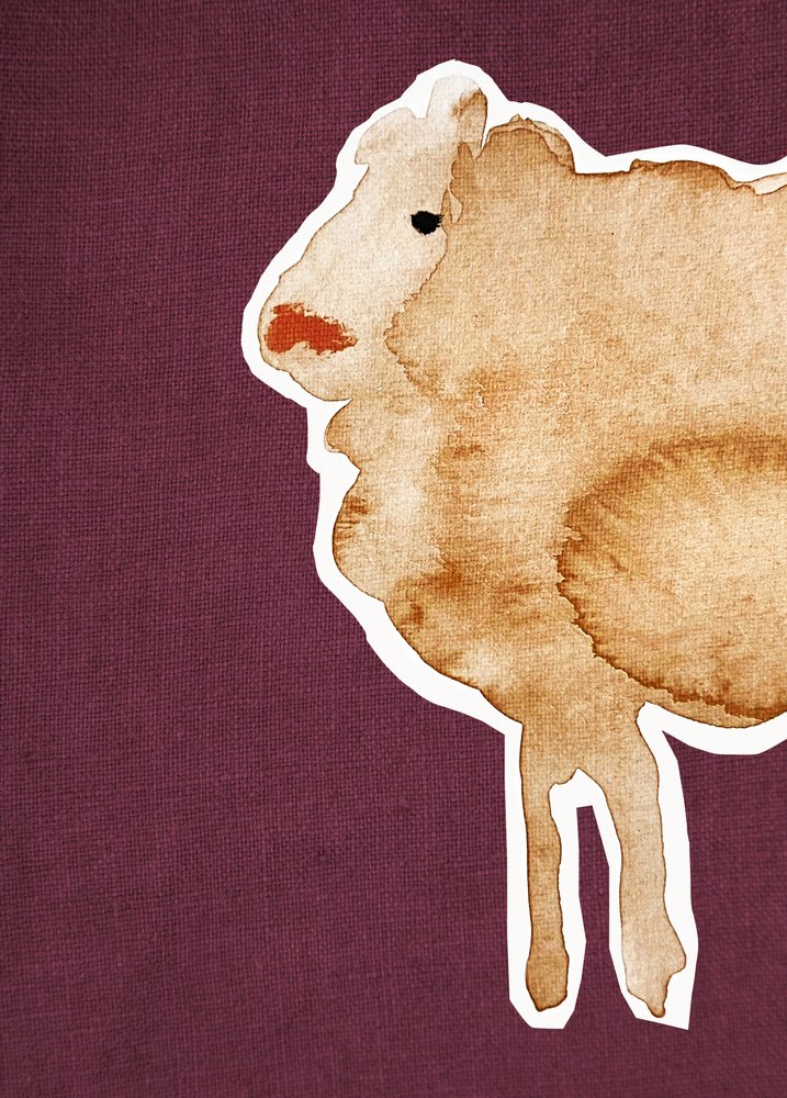 Lampaat Maroon1 tekijältä Christina Misuro