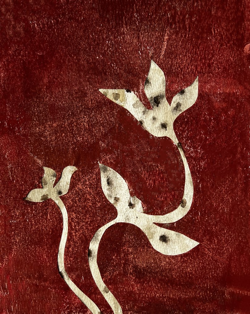  tekijältä Christina Misuro