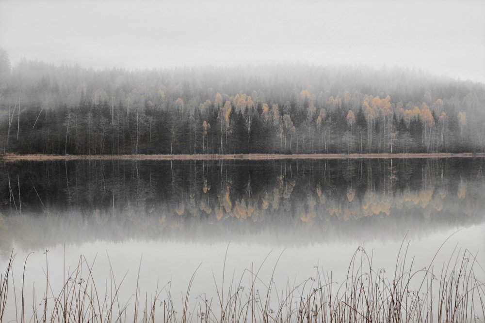 Sumuisen syksyn järvi tekijältä Christina Sillen