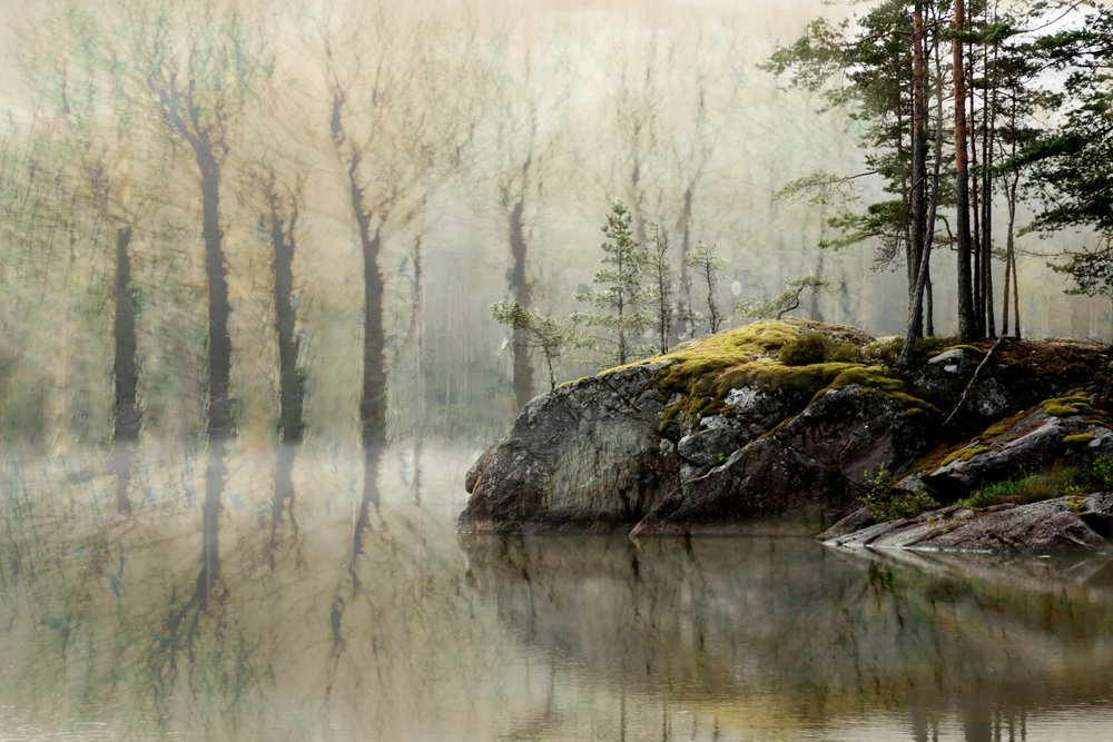 Sumuisen metsän järvi tekijältä Christina Sillen