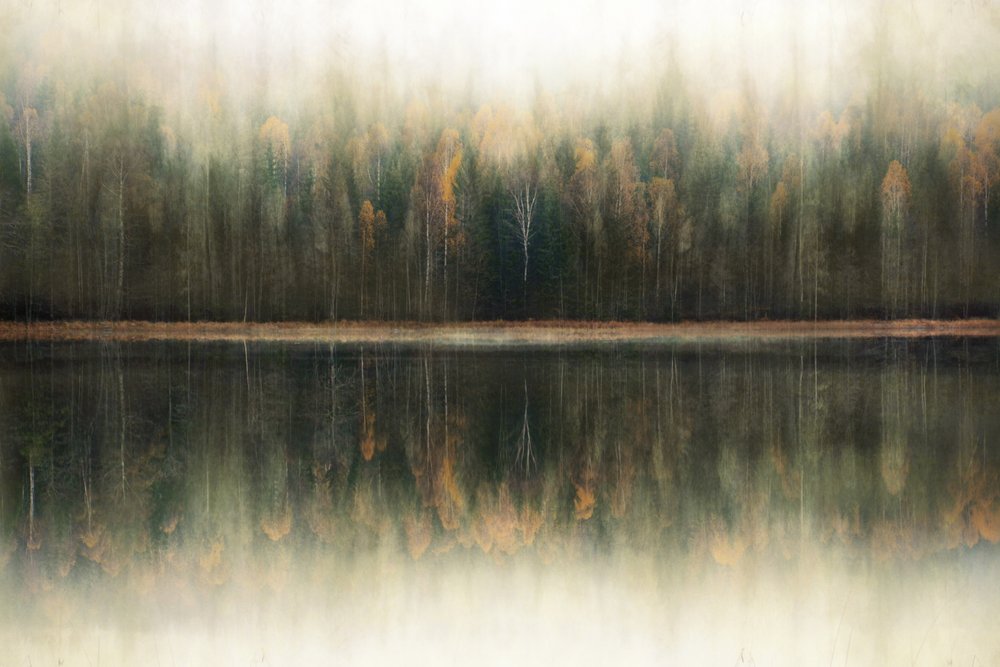 Sumuisen metsän heijastus tekijältä Christina Sillen