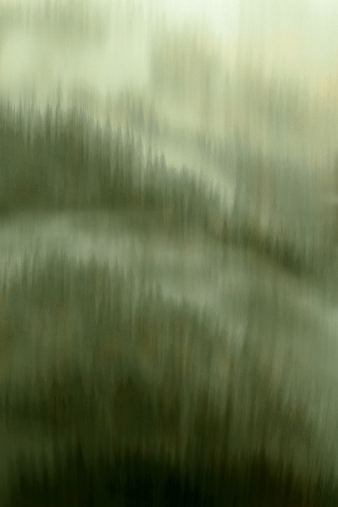 Sumuisen metsän rauha tekijältä Christina Sillen