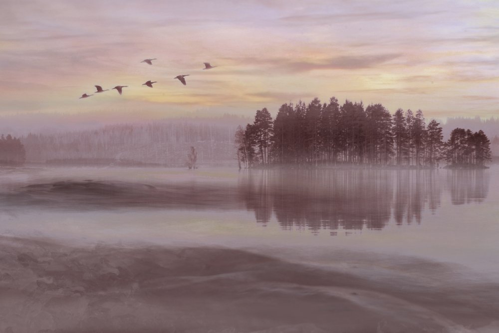 Misty Lake - lintujen lento tekijältä Christina Sillen