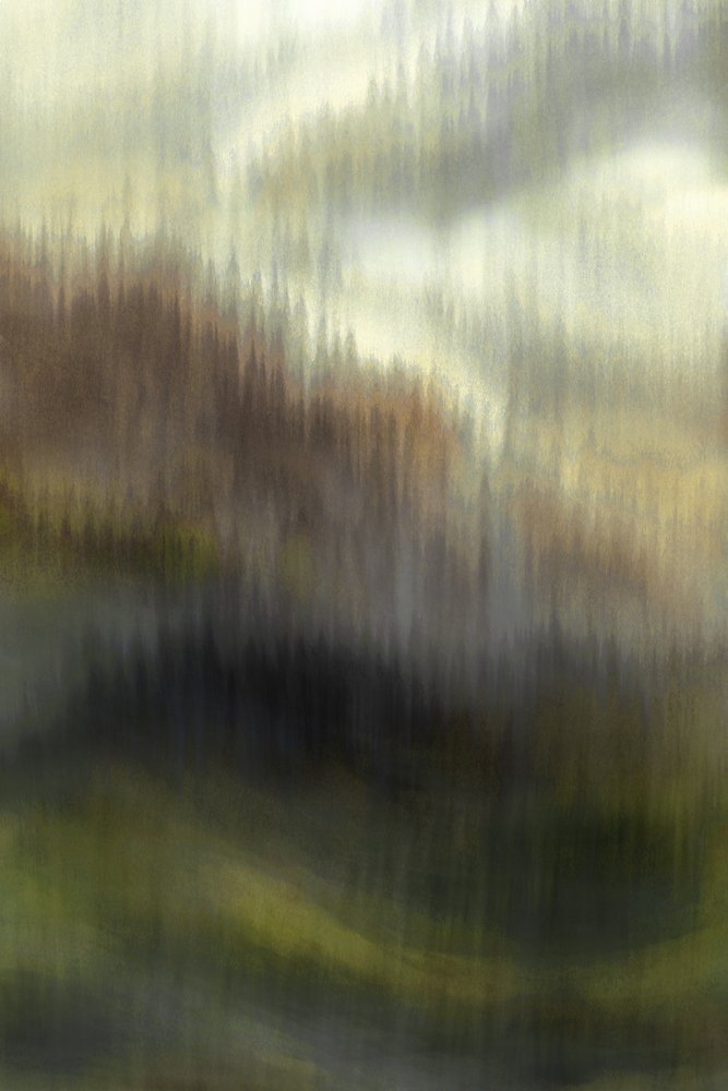 Sumuisen vuoren metsä tekijältä Christina Sillen