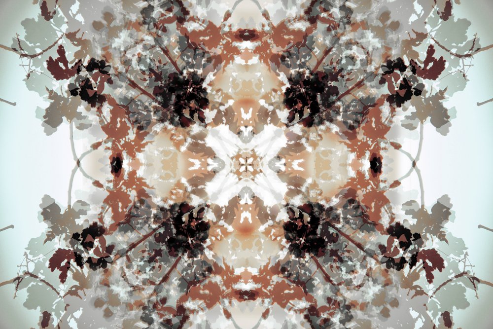 Hillitty kasvitieteellinen kaleidoskooppi tekijältä Christina Sillen