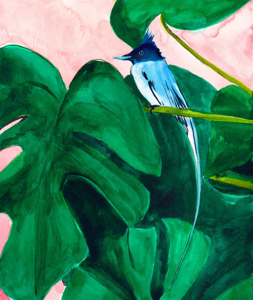 Trooppinen lintu ja Monstera-lehti tekijältä Christine Lindstrom