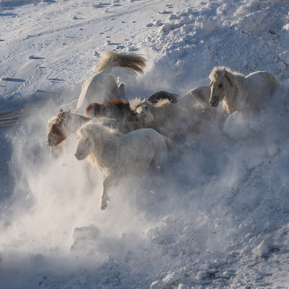  tekijältä Chuanxu Ren