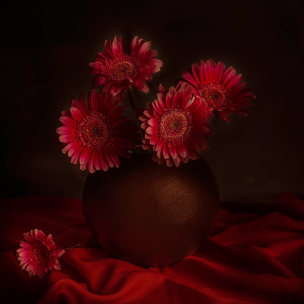 Tunnelmallinen gerbera-asetelma tekijältä Cicek Kiral