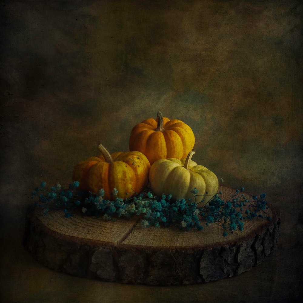 Moody Harvest -kurpitsat tekijältä Cicek Kiral