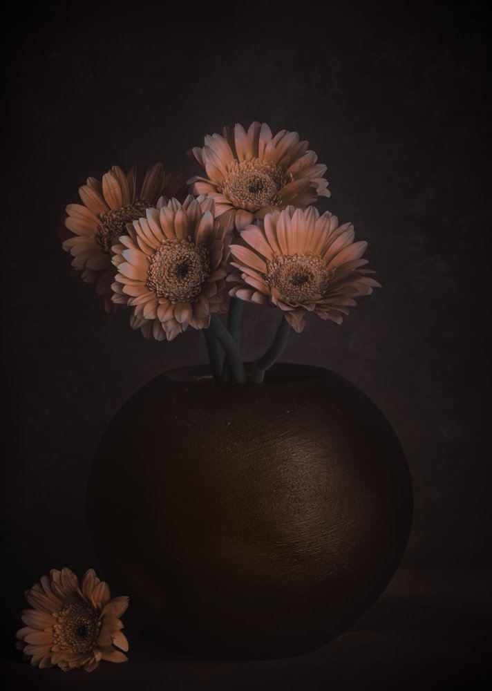 Moody Peach -gerberat tekijältä Cicek Kiral