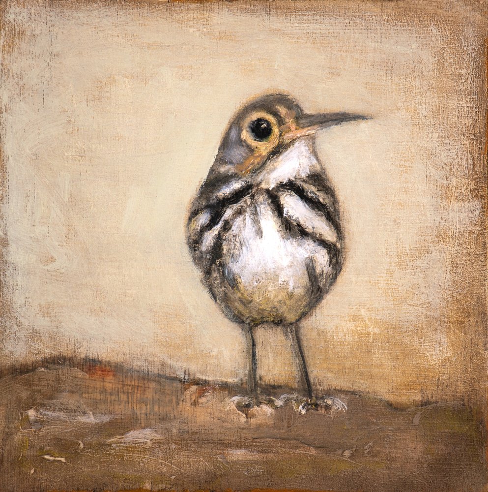  tekijältä Claire Lerner