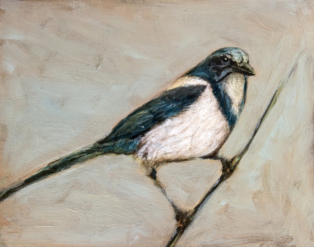  tekijältä Claire Lerner