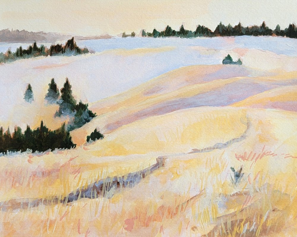  tekijältä Claire Whitehead