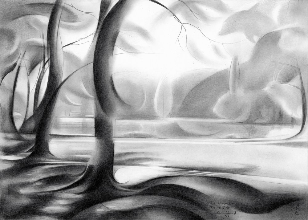 Mystisen metsän heijastus tekijältä Corné Akkers