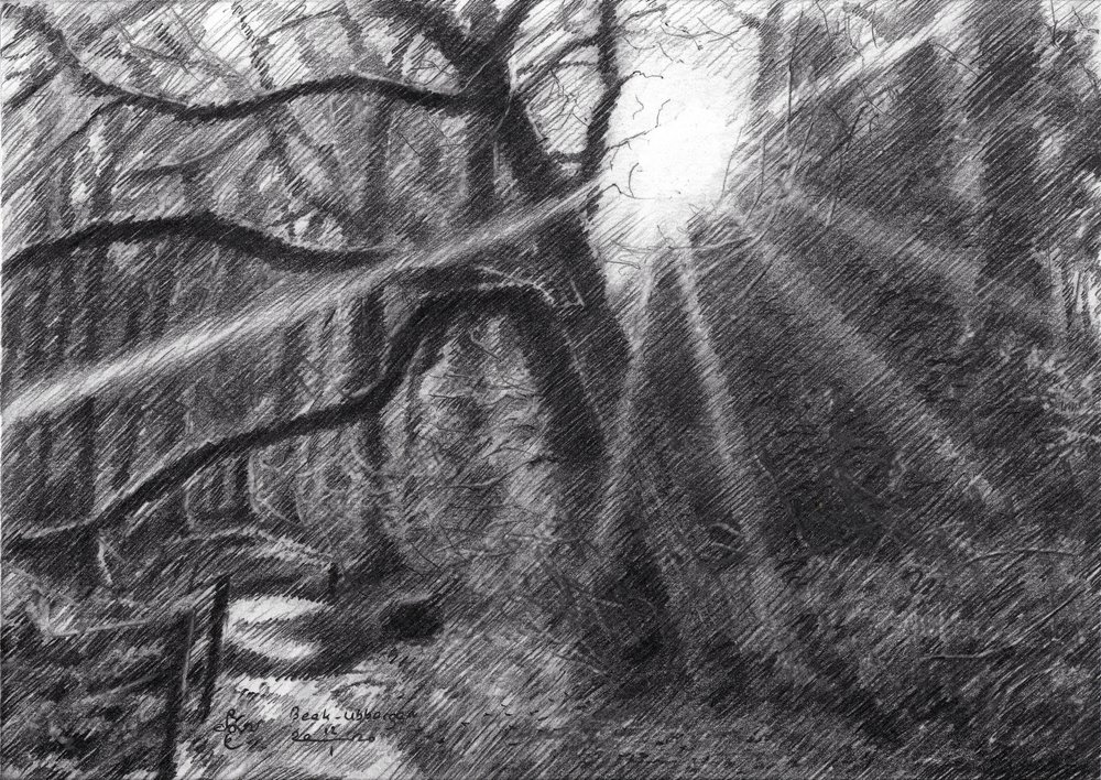  tekijältä Corné Akkers