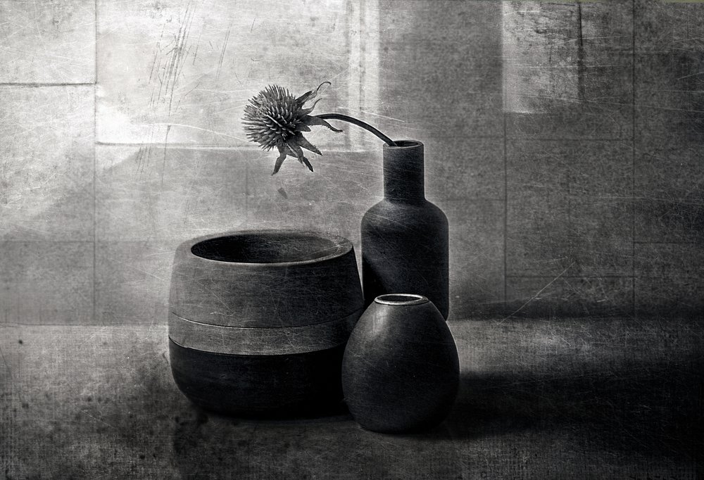 Moody Thistle -alukset tekijältä Elena Arjona