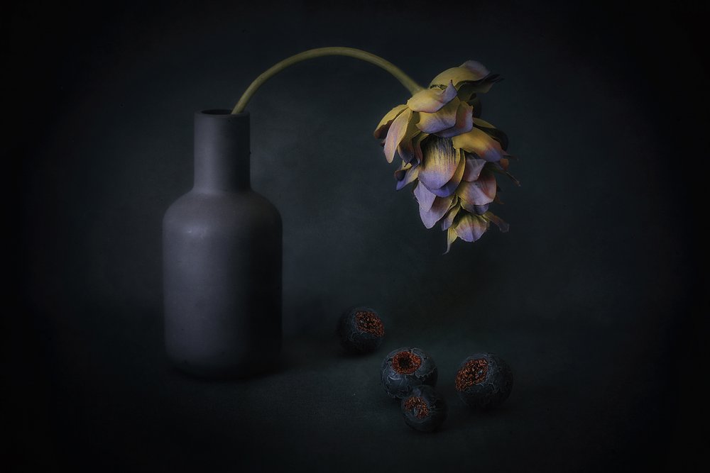 Varjostetut kukat ja marjat tekijältä Elena Arjona