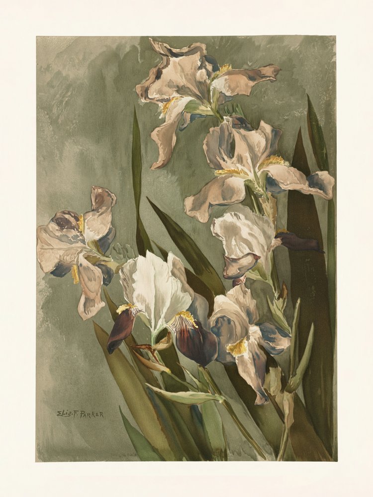  tekijältä Elizabeth F. Parker