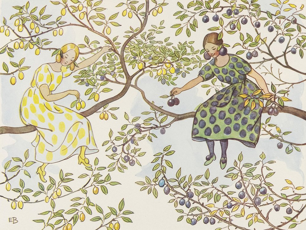 Plommon-neidit tekijältä Elsa Beskow