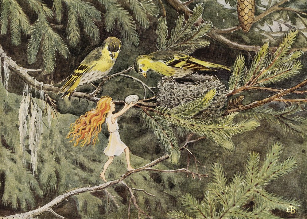 Auringonmuna (1932) Linnut tekijältä Elsa Beskow