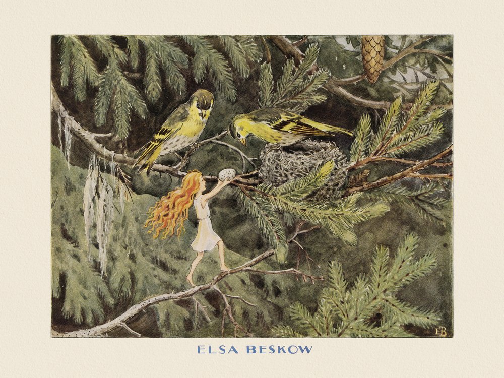 Auringonmuna Linnut tekijältä Elsa Beskow