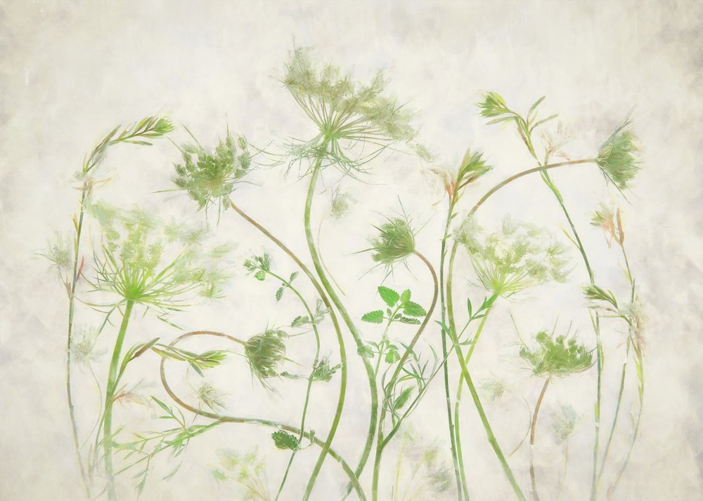 Soft Green Botanicals tekijältä Fangping Zhou